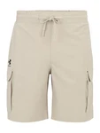 Under Armour Shorts Ua Vibe Woven Cargo Short 