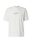 HOLLISTER T-Shirt grau/weiß