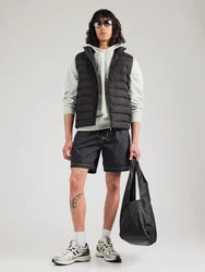 Champion Authentic Athletic Apparel Sweatshirt pastellgrün/weiß