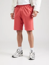 Champion Authentic Athletic Apparel Shorts rot