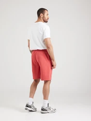 Champion Authentic Athletic Apparel Shorts rot