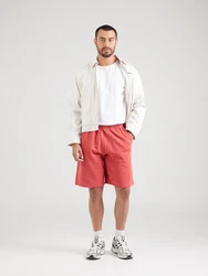 Champion Authentic Athletic Apparel Shorts rot