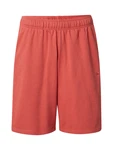 Champion Authentic Athletic Apparel Shorts rot