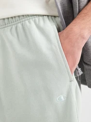 Champion Authentic Athletic Apparel Shorts grün