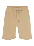 Quiksilver Boardshorts Taxer Amph 18 