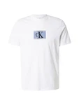 Calvin Klein T-Shirt taubenblau/grau/schwarz/weiß