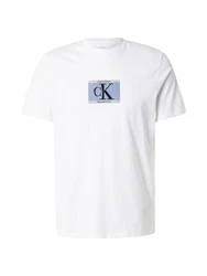 Calvin Klein T-Shirt taubenblau/grau/schwarz/weiß