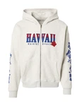 HOLLISTER Sweatjacke 'MAY1' blau/grau/rot