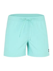 QUIKSILVER Badeshorts 'SOLID 15' 