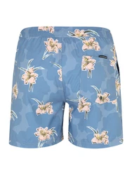 QUIKSILVER Hose 'EVERYDAY' beige/taubenblau/gelb/schwarz