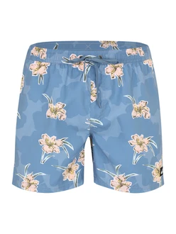 QUIKSILVER Hose 'EVERYDAY'