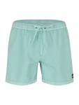 QUIKSILVER Badeshorts 'EVERYDAY' trkis