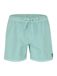 QUIKSILVER Badeshorts 'EVERYDAY' trkis