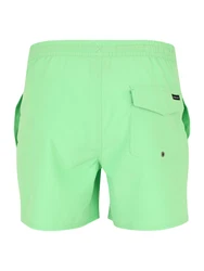QUIKSILVER Boardshorts 'SURFSILK' Grün/Türkis/Hellgrün