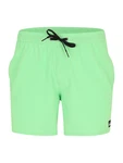 QUIKSILVER Boardshorts 'SURFSILK' Grün/Türkis/Hellgrün