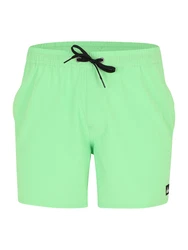 QUIKSILVER Boardshorts 'SURFSILK' Grün/Türkis/Hellgrün