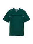TOM TAILOR T-Shirt (OCS) hellblau/dunkelgrün/weiß