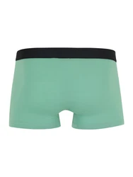 Tommy Hilfiger Underwear Trunk 3P TRUNK mit Logoschriftzug oliv/mint/schwarz/weiß