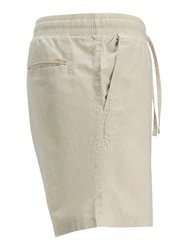 Jack & Jones Shorts JPSTJAIDEN JJSUMMER greige