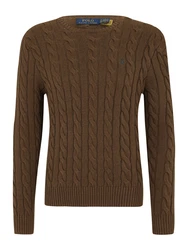 Polo Ralph Lauren Pullover 'Driver' braun