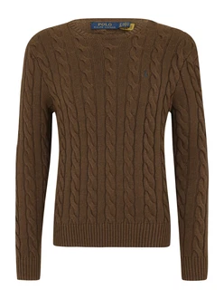 Polo Ralph Lauren Pullover 'Driver' braun