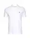 LACOSTE Majica  bela
