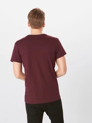 Iriedaily T-Shirt Harpoon Flag Tee bordeaux/weiß