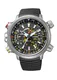 CITIZEN Solaruhr schwarz / silber