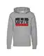 LEVI''''S Hoodie blau / graumeliert / rot