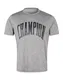 Champion Authentic Athletic Apparel T-Shirt Institutional graumeliert