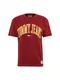 Tommy Jeans T-Shirt TJM COLLEGIATE TEE senf / weinrot