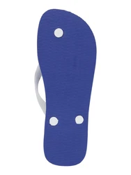 HAVAIANAS Zehentrenner Brasil blau/weiß