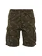 Superdry Shorts oliv / dunkelgrün / khaki