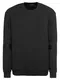 HUGO Sweatshirt Dunter 10200626 01 schwarz