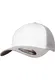 Flexfit Cap silber / weiß