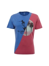 GAP T-Shirt WORLD SURF GRAPHICS blau / dunkelrot / schwarz