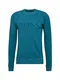 BOSS Sweatshirt Wayman 10201976 01 blau