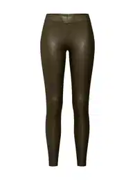 Tajice kaki