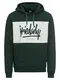 Iriedaily Hoodie ''''Tagg Hooded'''' tanne