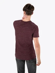 Iriedaily T-Shirt 'Chamisso' weinrot/wei