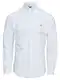 Polo Ralph Lauren Hemd hellblau / mischfarben / wei