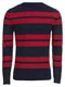 TOM TAILOR Pullover rot / navy