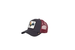 GOORIN Bros. Cap Prideful dunkelgrau / pastellrot
