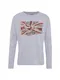 Pepe Jeans Langarmshirt FLAG LOGO blau / grau / rot