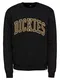 DICKIES Sweatshirt Fredricksburg gelb / schwarz
