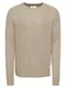 JACK & JONES Herren - Pullover & Strickjacken JORNEWPANNEL KNIT CREW NECK beige