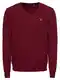 GANT Pullover rot