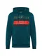 JACK & JONES Sweatshirt JORSPRAY SWEAT HOOD gold / petrol / rot