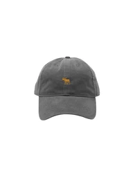 Abercrombie & Fitch Cap XM18-DTC CORE EXT 3CC basaltgrau