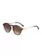 Komono Sonnenbrille ''''Devon'''' braun / ros